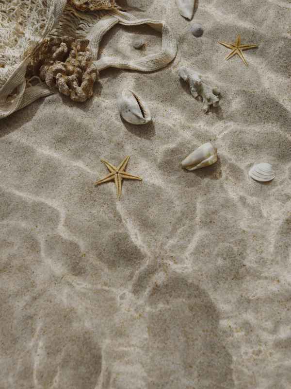 protéger les sneakers du sable